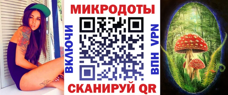 Псилоцибиновые грибы Psilocybine cubensis  купить наркотики цена  Ахтубинск 