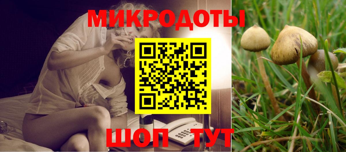 Ахтубинск  Галлюциногенные грибы GOLDEN TEACHER  хочу   Вход с VPN 