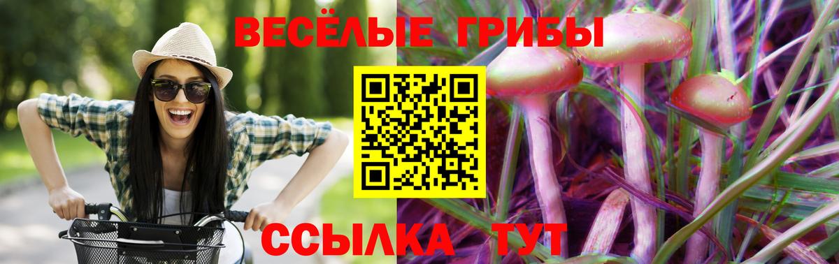 Псилоцибиновые грибы ЛСД Ахтубинск